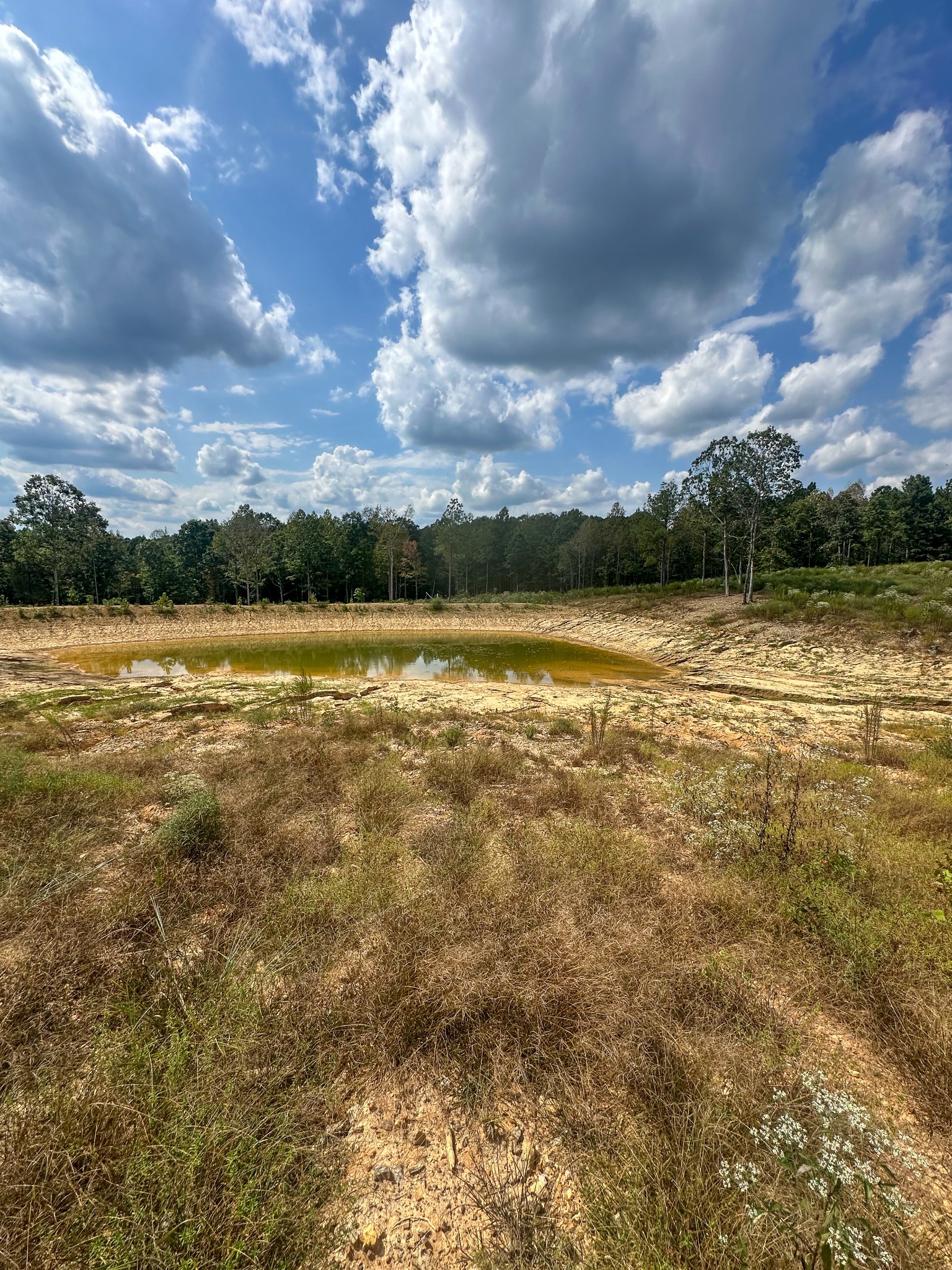 0 Jeanette Holladay Road Parsons, TN 38363 - Photo 54 of 64
