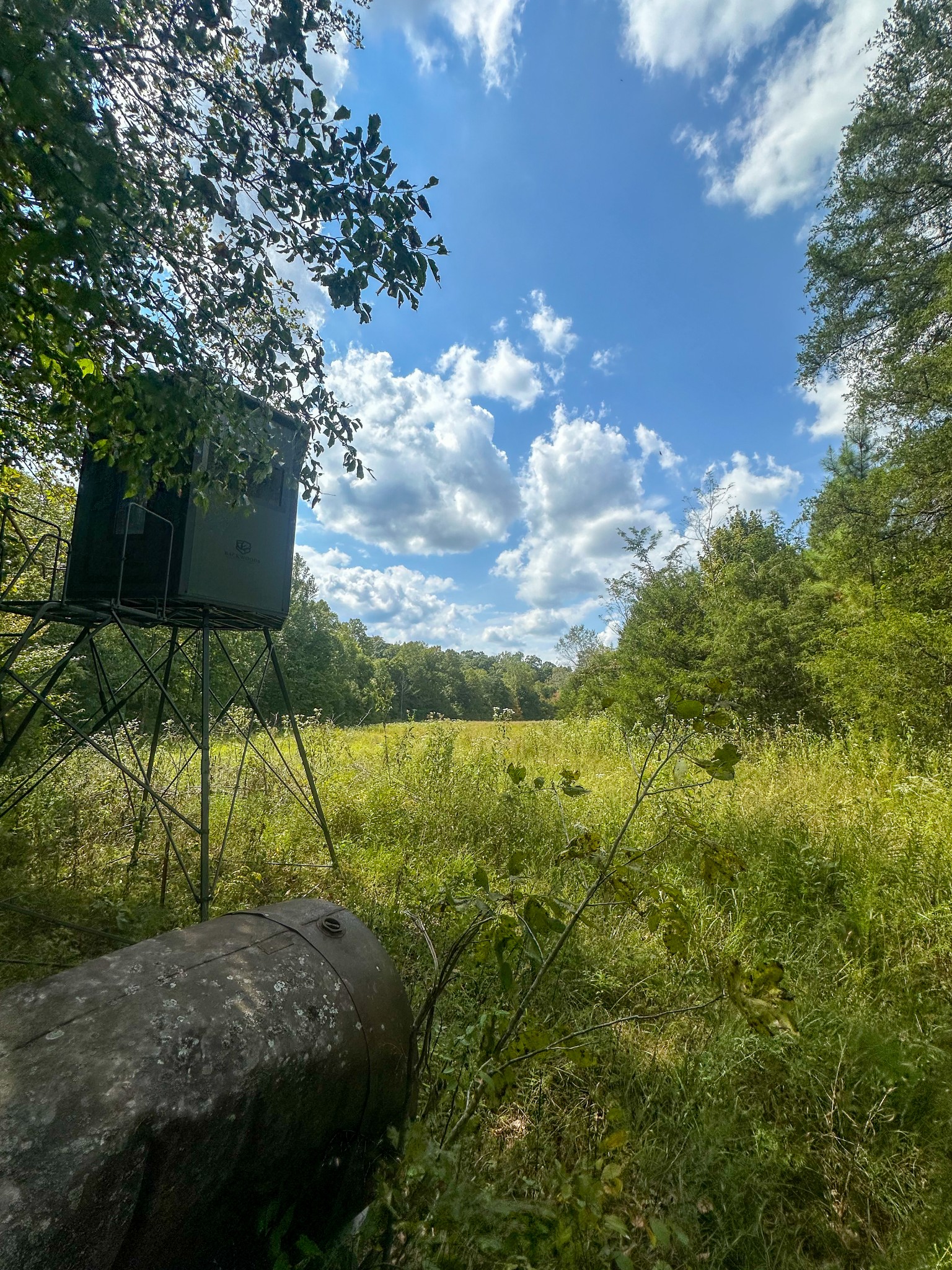 0 Jeanette Holladay Road Parsons, TN 38363 - Photo 57 of 64 a view of an outdoor space and a yard