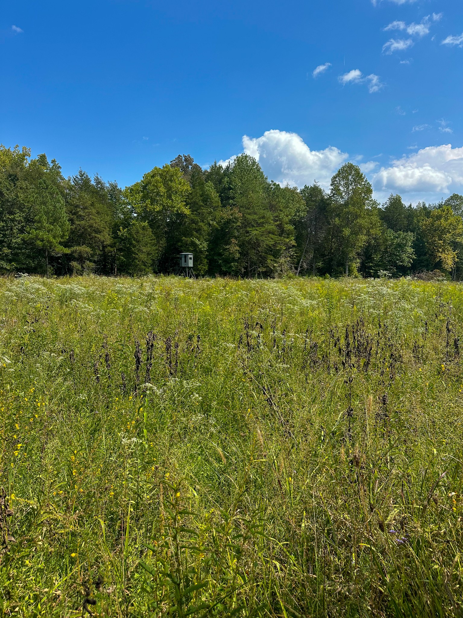 0 Jeanette Holladay Road Parsons, TN 38363 - Photo 59 of 64