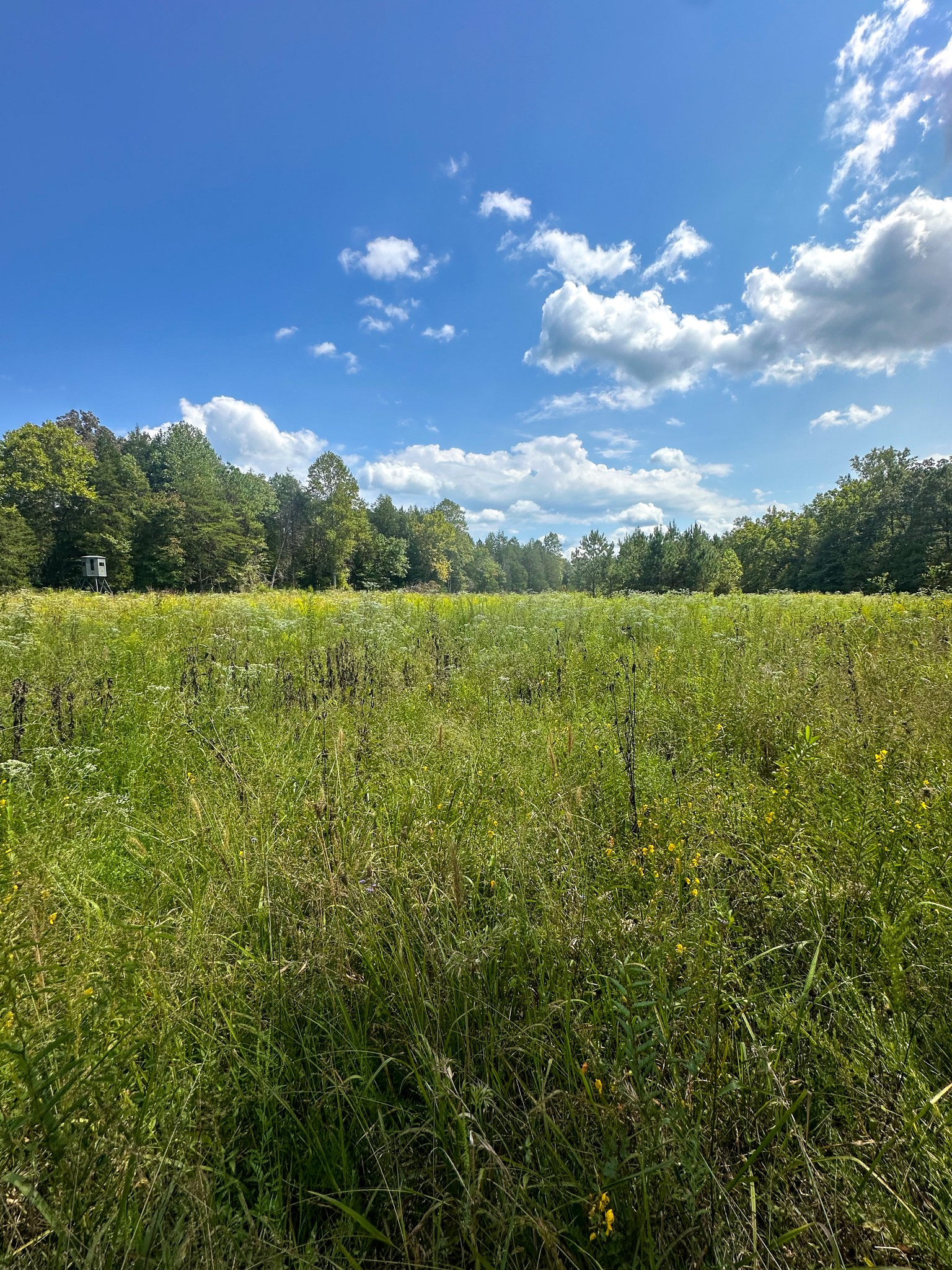 0 Jeanette Holladay Road Parsons, TN 38363 - Photo 60 of 64 a view of an ocean and a mountain