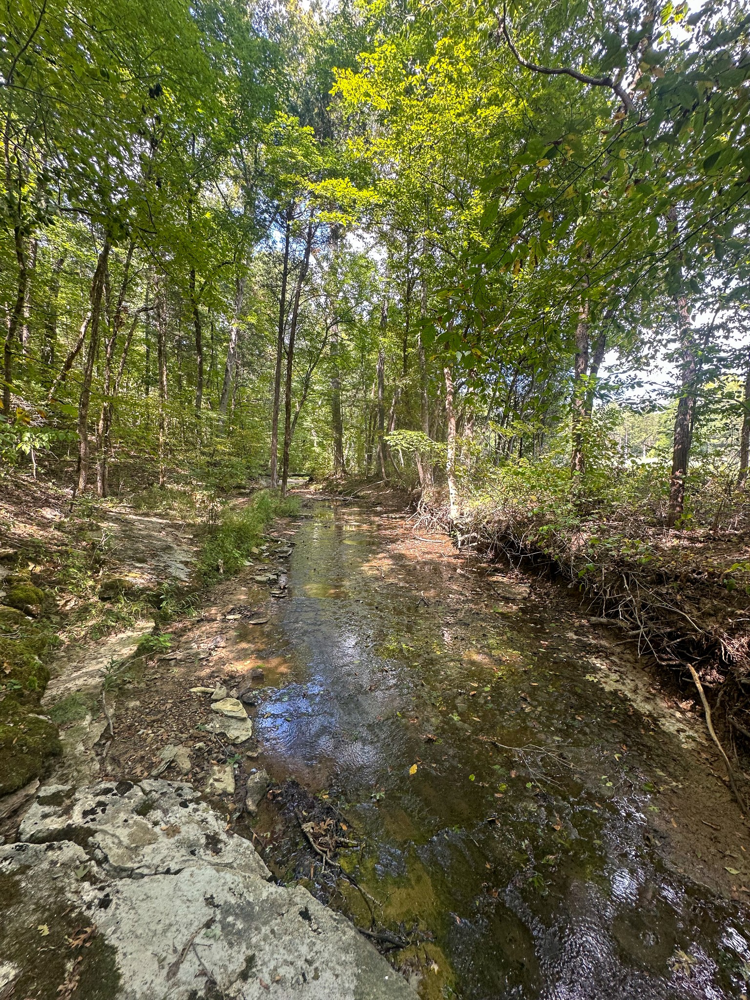 0 Jeanette Holladay Road Parsons, TN 38363 - Photo 63 of 64