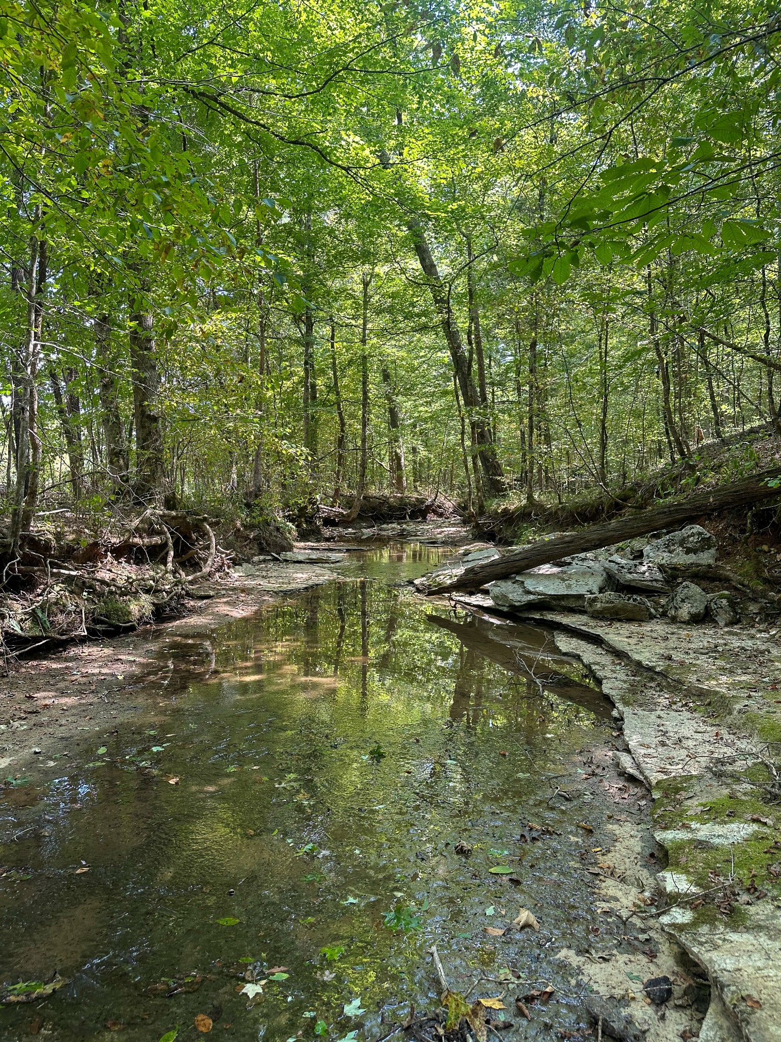 0 Jeanette Holladay Road Parsons, TN 38363 - Photo 64 of 64 a view of a lake view