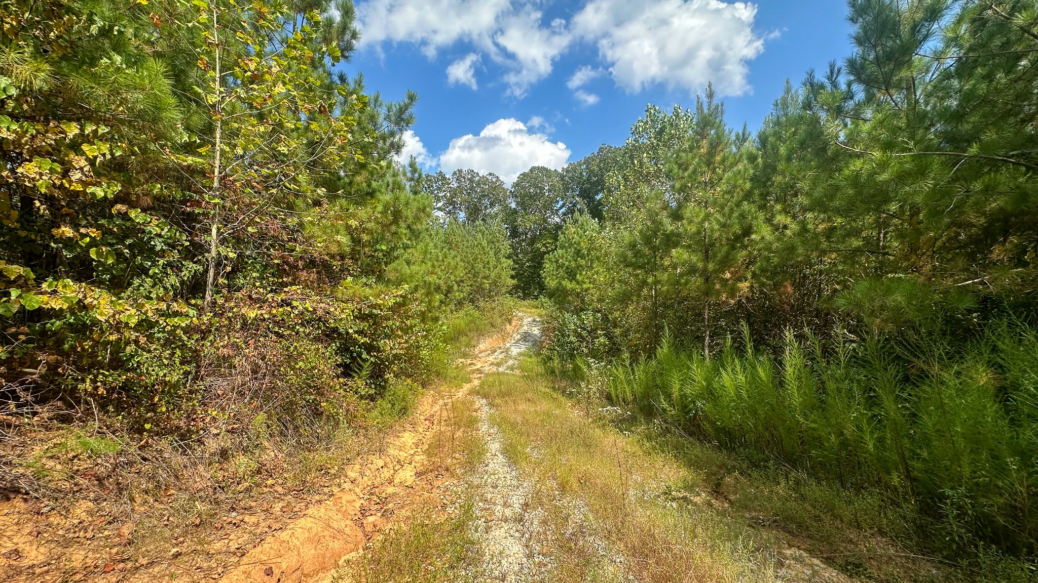 0 Jeanette Holladay Road Parsons, TN 38363 - Photo 7 of 64 a view of a lake