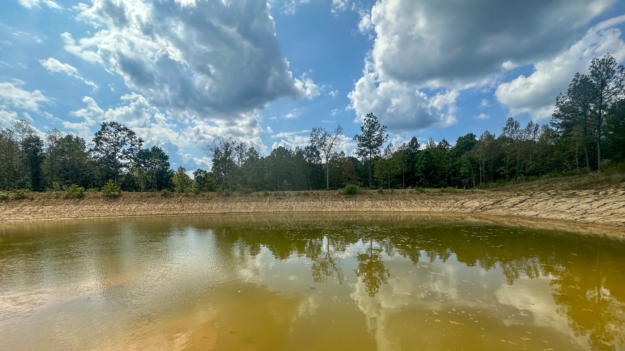 0 Jeanette Holladay Road Parsons, TN 38363 - Photo 10 of 64 a view of lake with green space