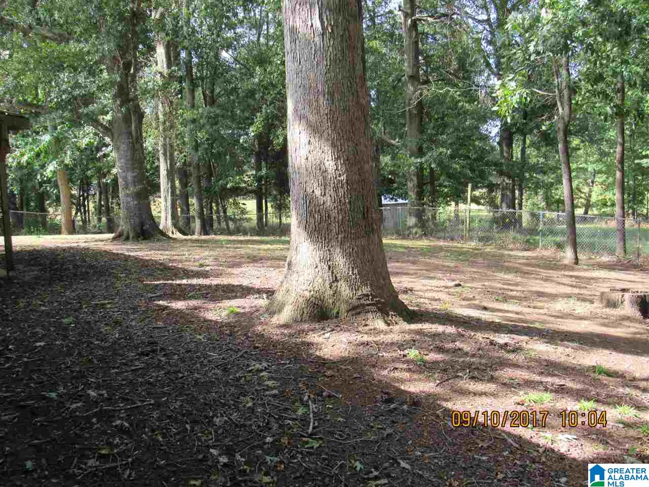 36 County Road 763 Clanton, AL 35046 - Photo 16 of 50