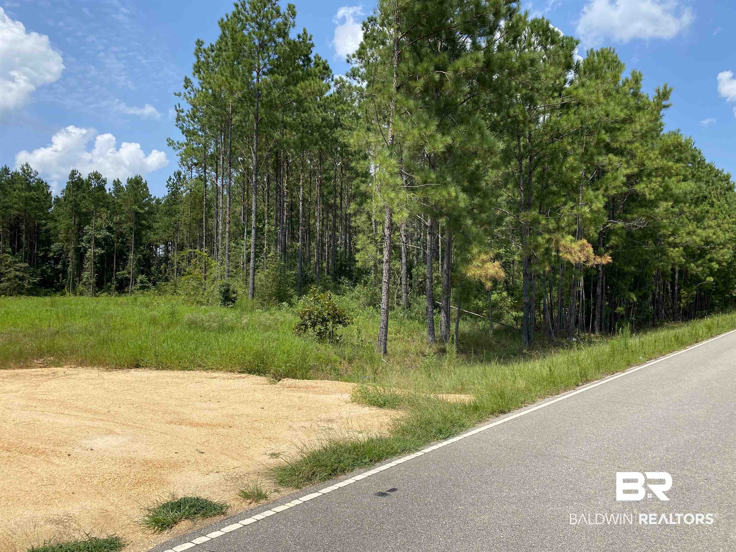 0 Booneville Road Atmore, AL 36502 - Photo 2 of 4