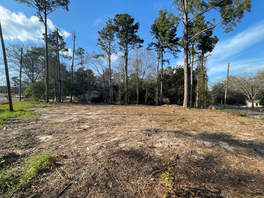 0 Phillips Terrace Dothan, AL 36303 - Photo 3 of 4