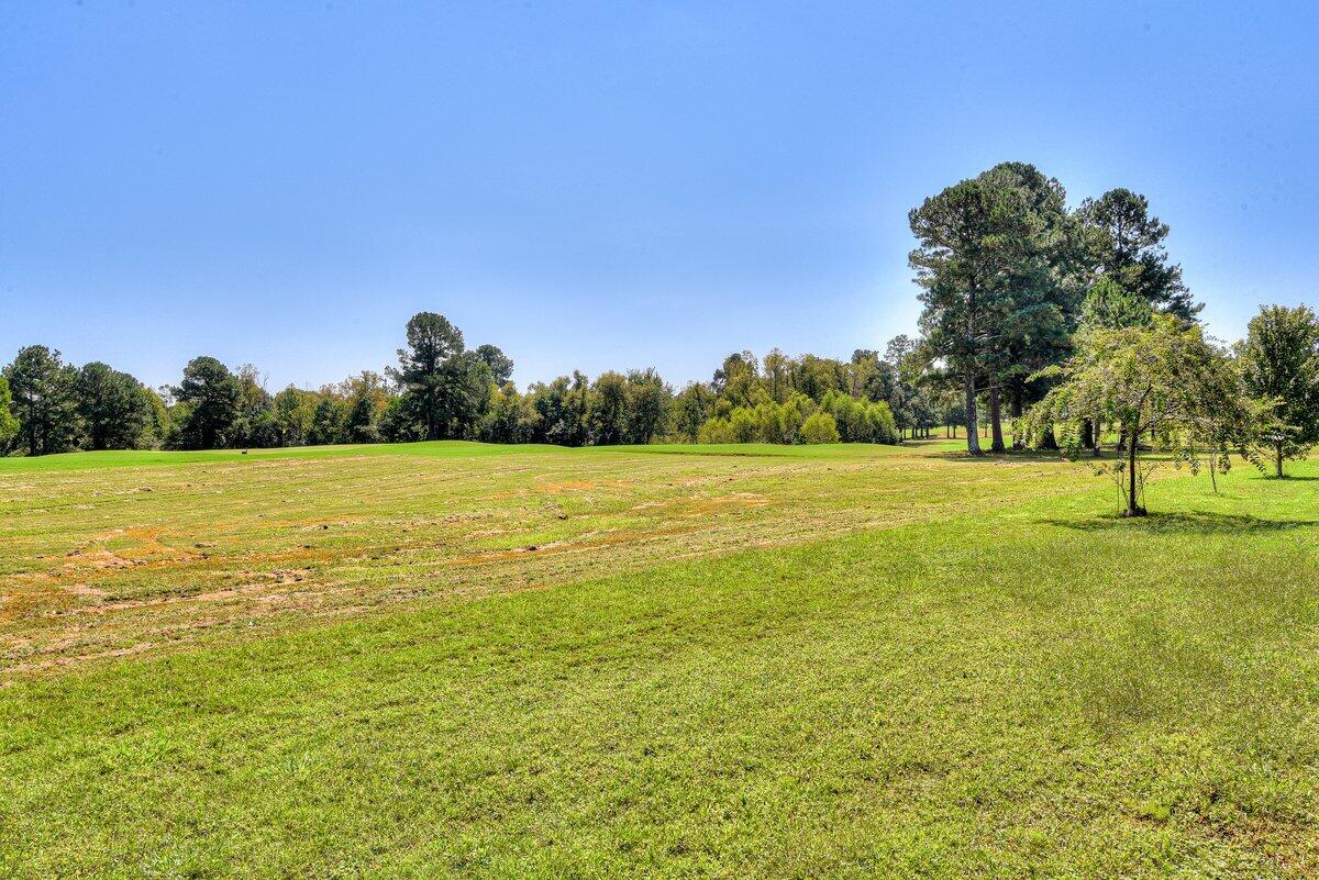 1584 Goshen Road Augusta, GA 30906 - Photo 28 of 28 28.golf.view