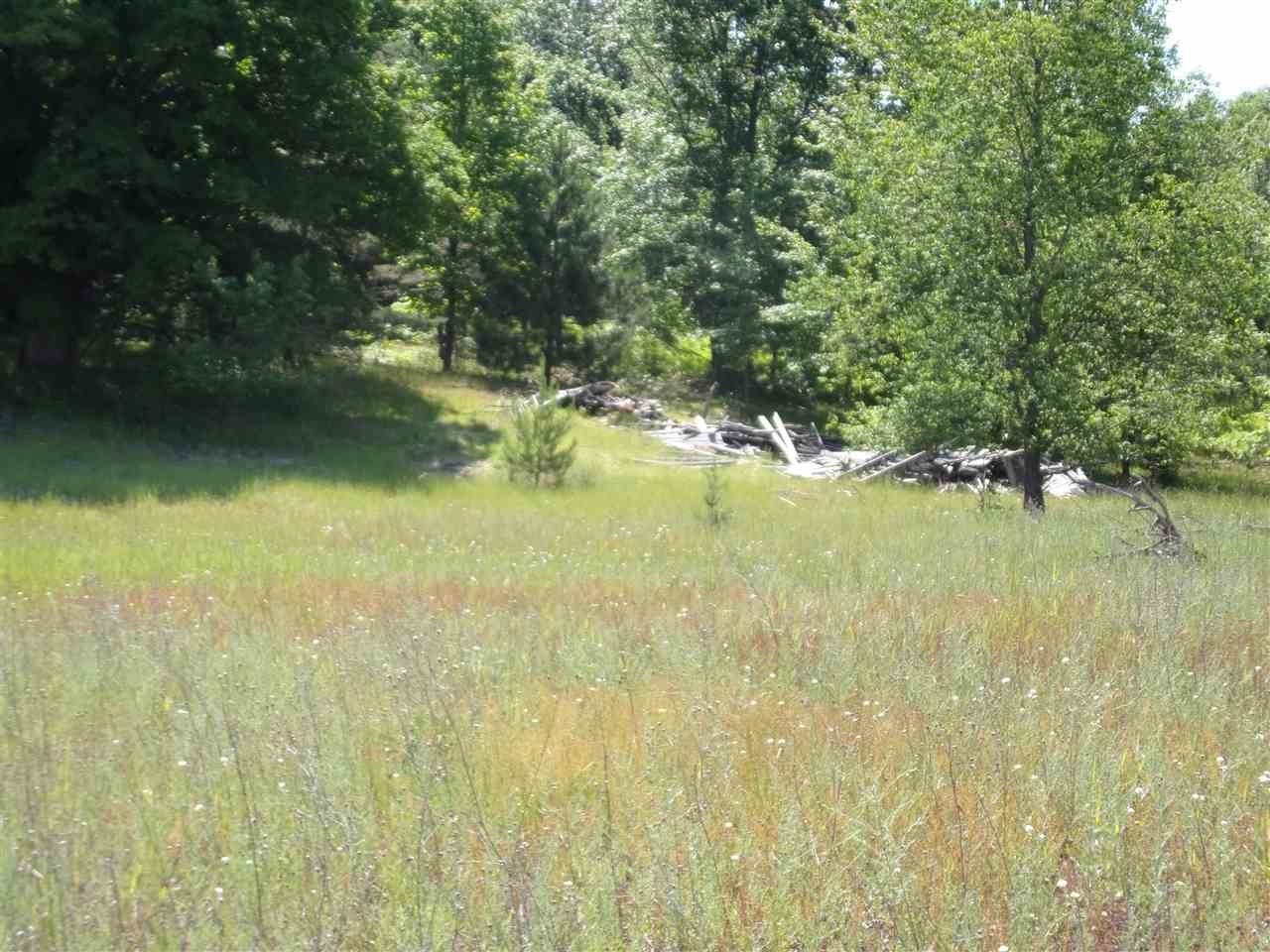 0 West Cutcheon Road Manton, MI 49663 - Photo 9 of 11 Gallery Image 9