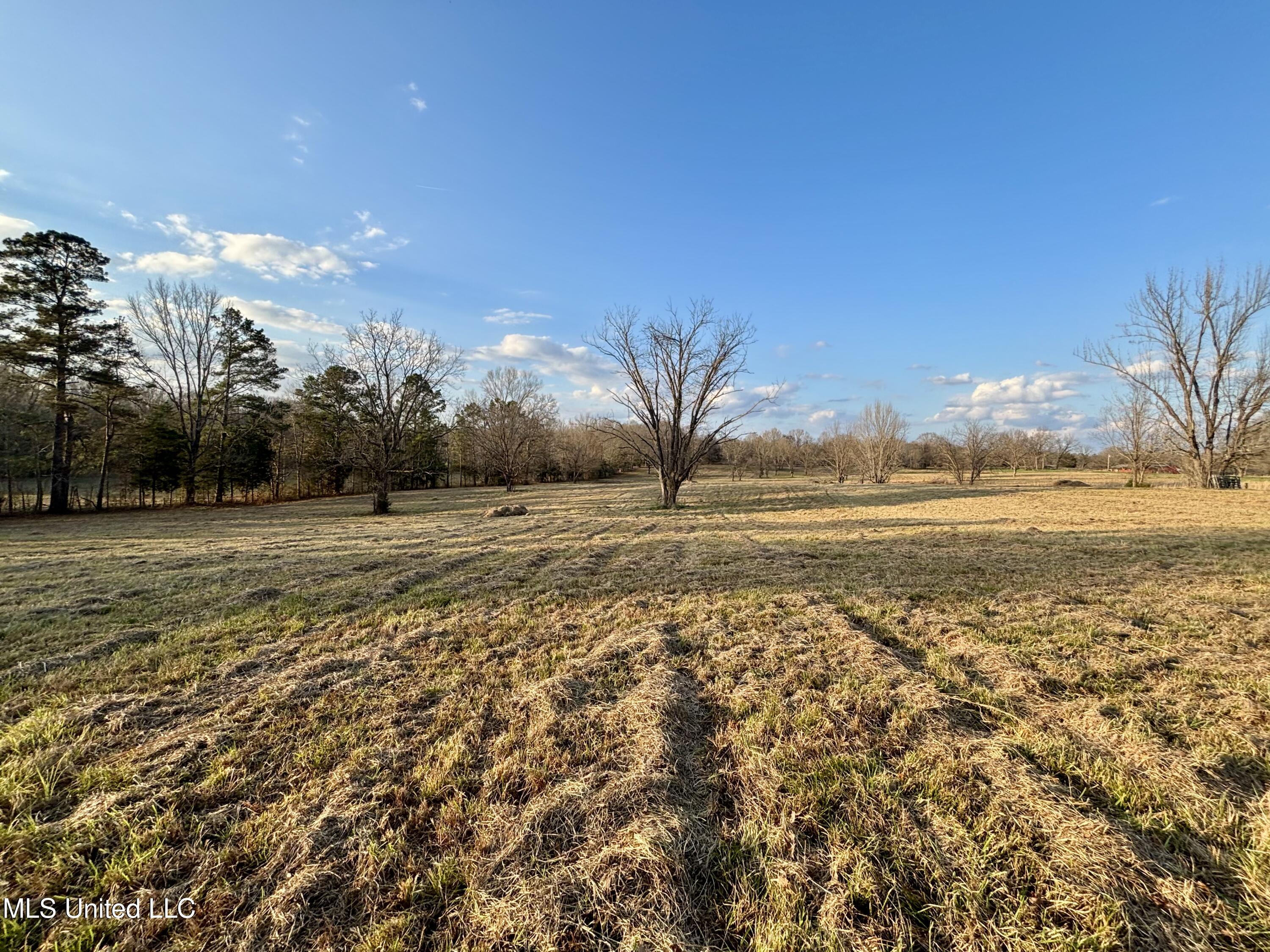 1255 North Chapel Hill Road Raymond, MS 39154 - Photo 2 of 19 IMG_3740