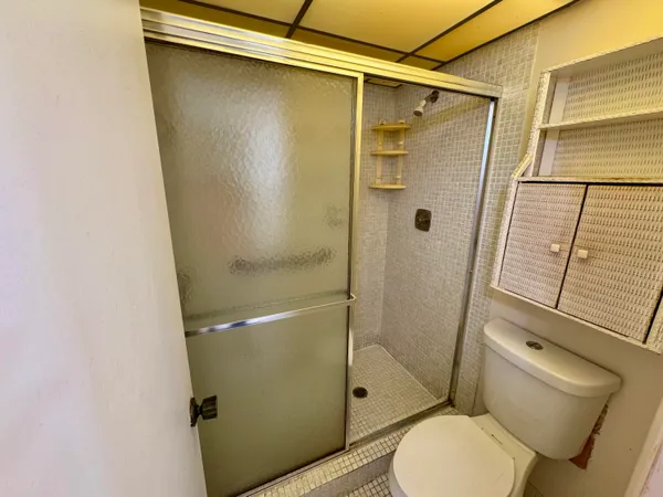 a bathroom with a toilet and a shower