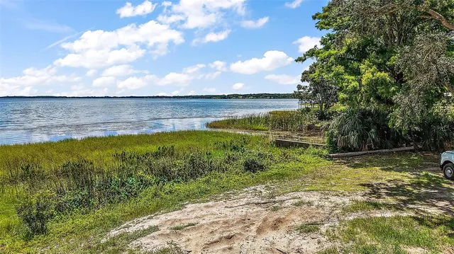 a view of a garden with an outdoor space