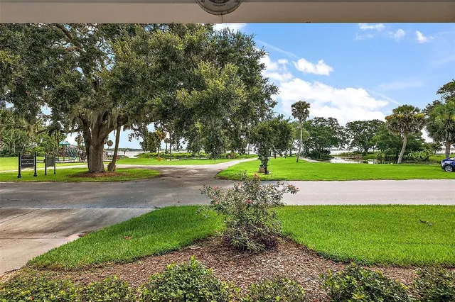 a view of a park with large trees