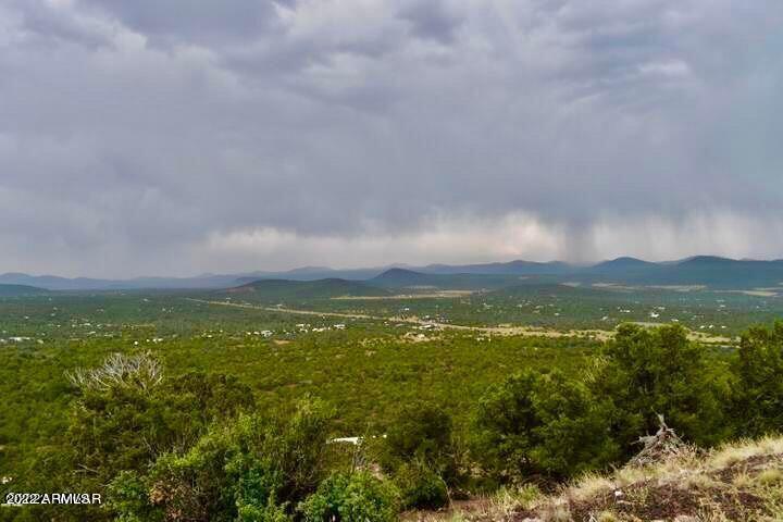 110 County Road Show Low, AZ 85901 - Photo 1 of 6 20220326085543024668000000-o
