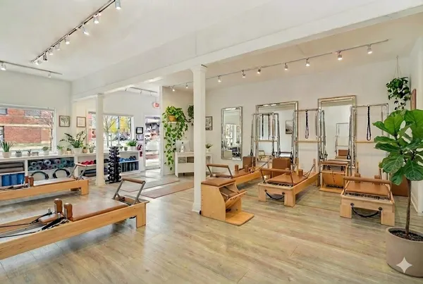 a living room with furniture wooden floor and potted plants