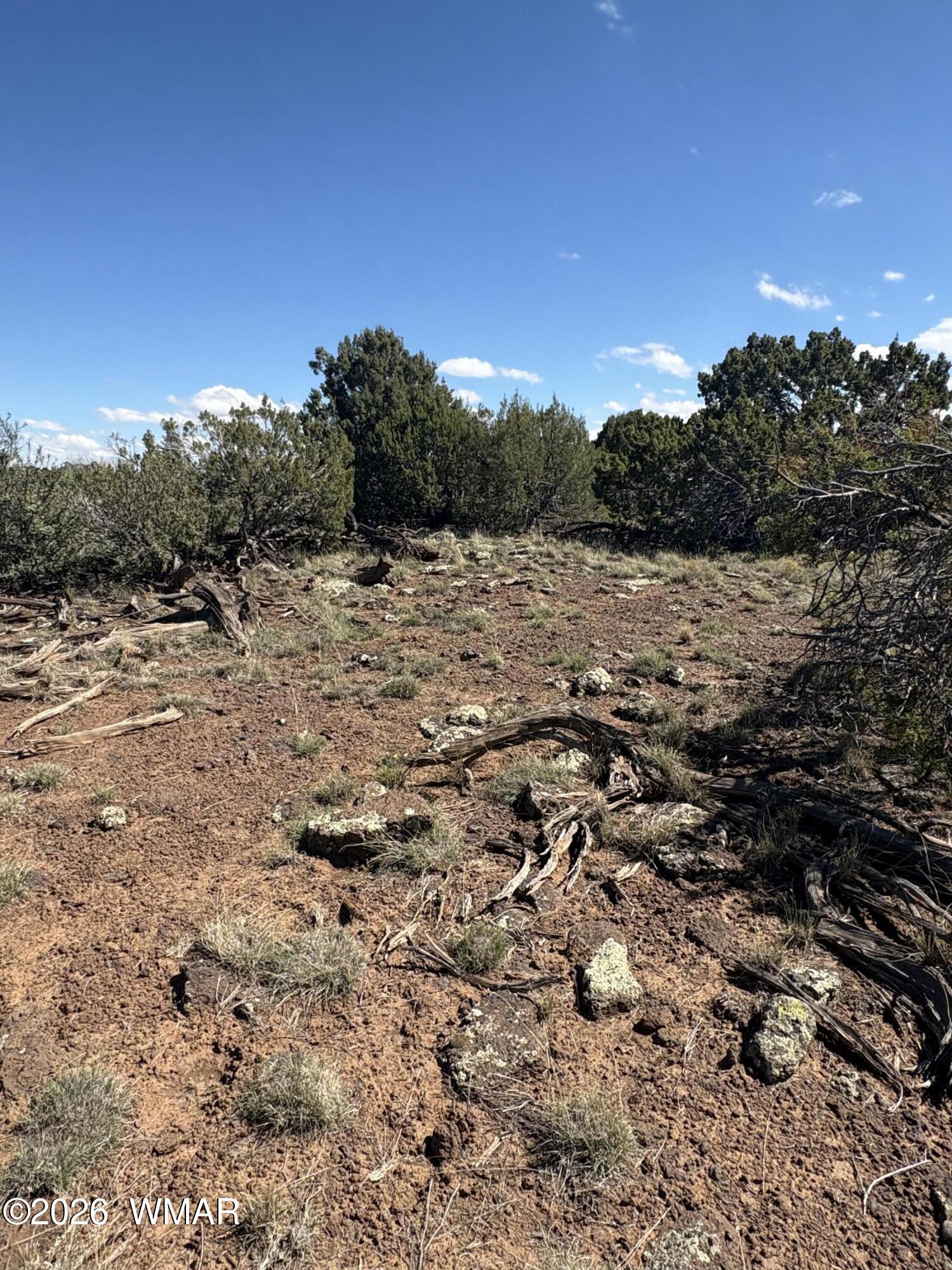 201 County Road Concho, AZ 85924 - Photo 4 of 5