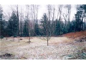 121 Mink Farm Road Lowell, VT 05847 - Photo 3 of 4