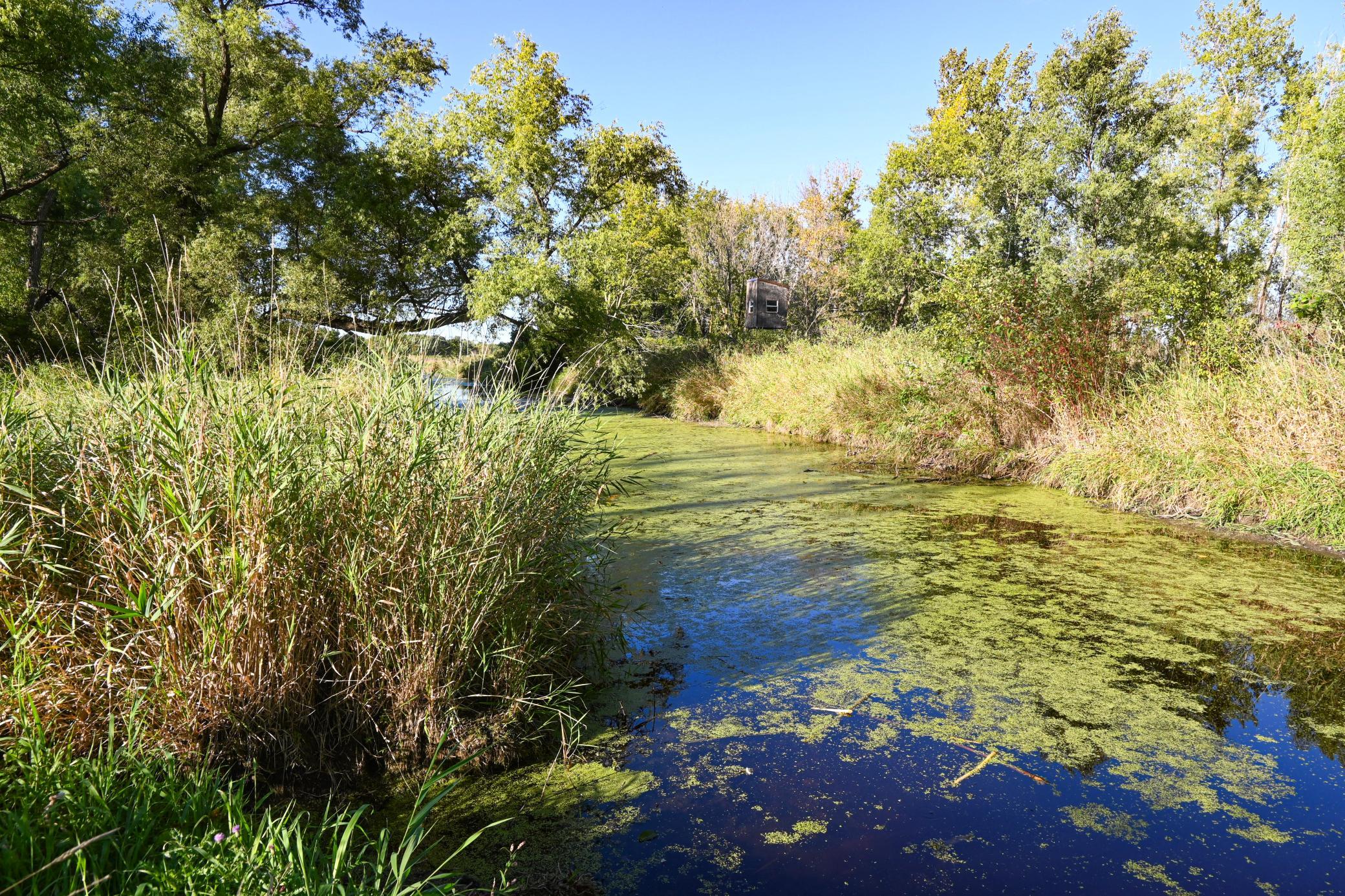 0 State Highway Nicollet, MN 56074 - Photo 13 of 37 Gallery Image 13