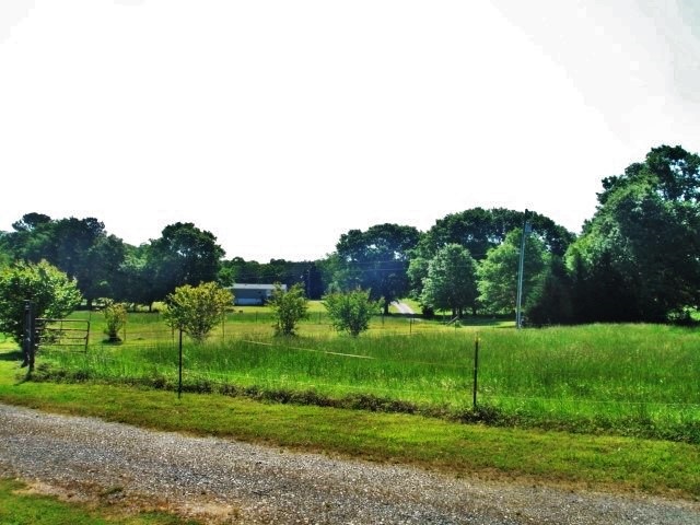 527 Hamby Road, Unit 529 HAMBY Honea Path, SC 29654 - Photo 5 of 13