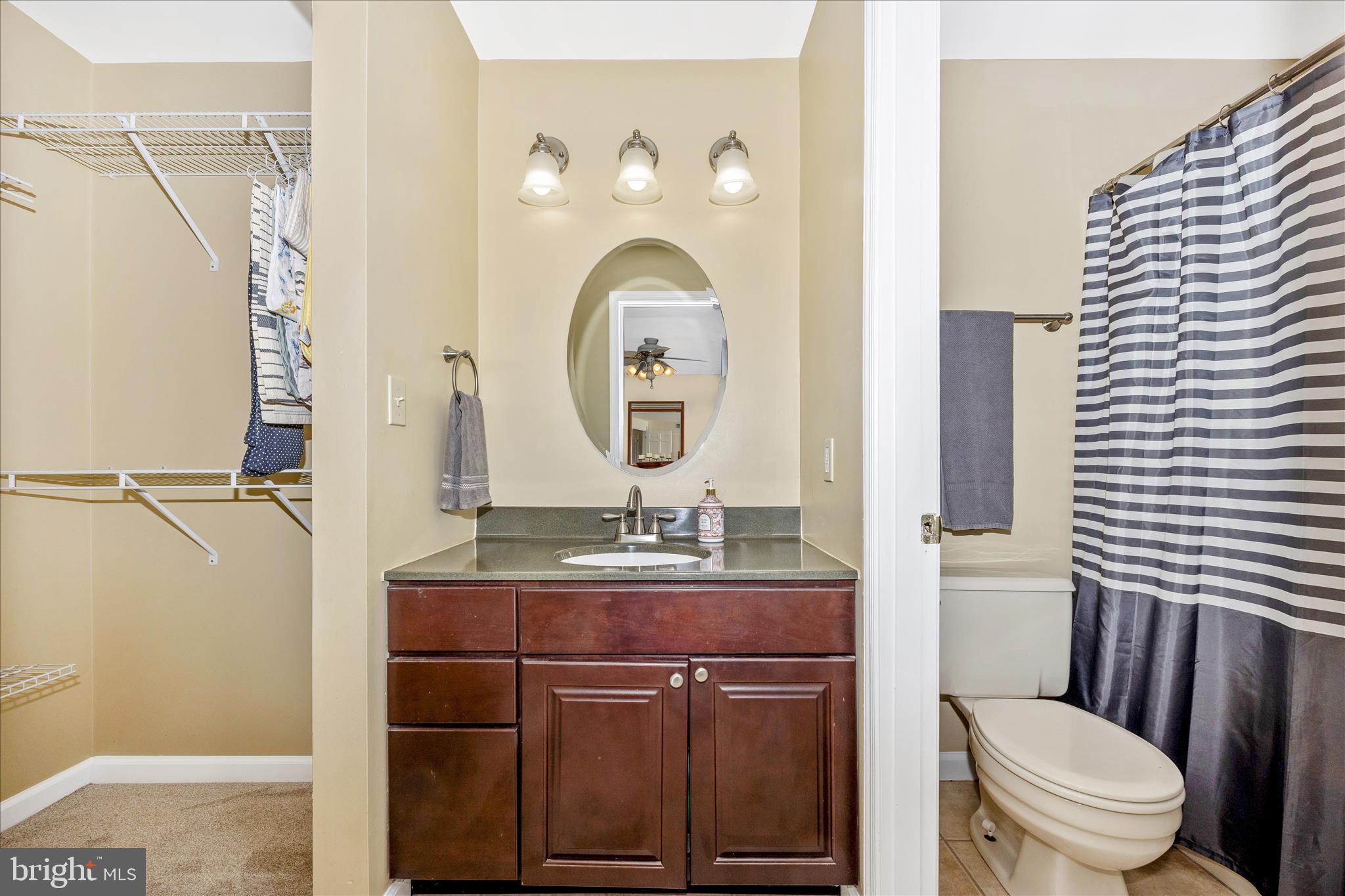 3340 Florence Road Woodbine, MD 21797 - Photo 16 of 61 a bathroom with a toilet a sink and a mirror
