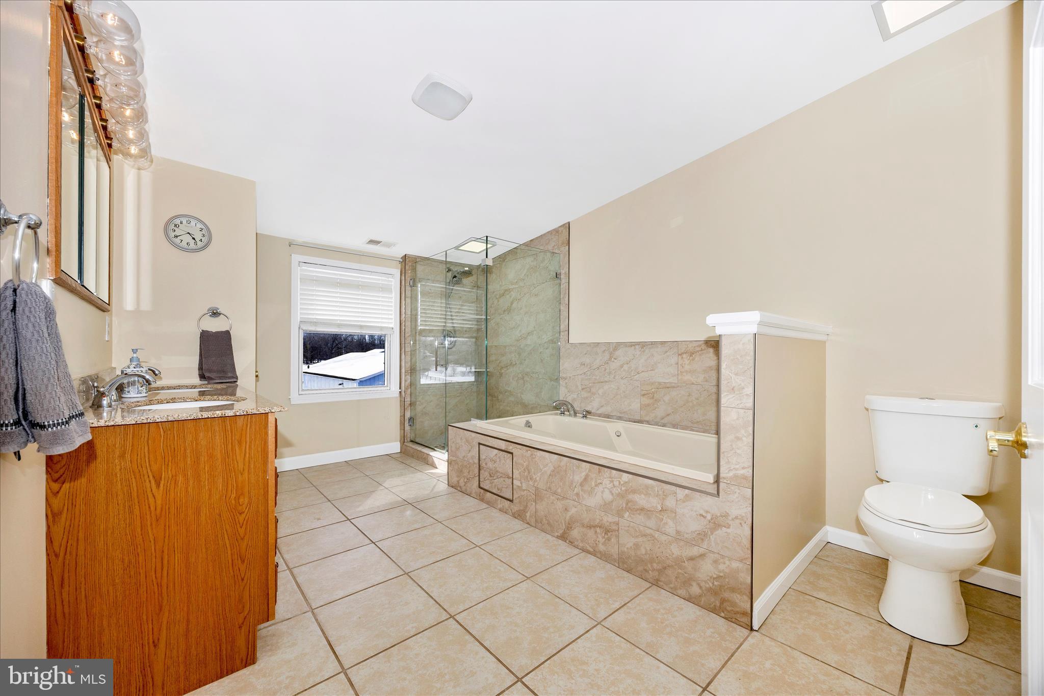 3340 Florence Road Woodbine, MD 21797 - Photo 24 of 61 a bathroom with a granite countertop sink a toilet and shower