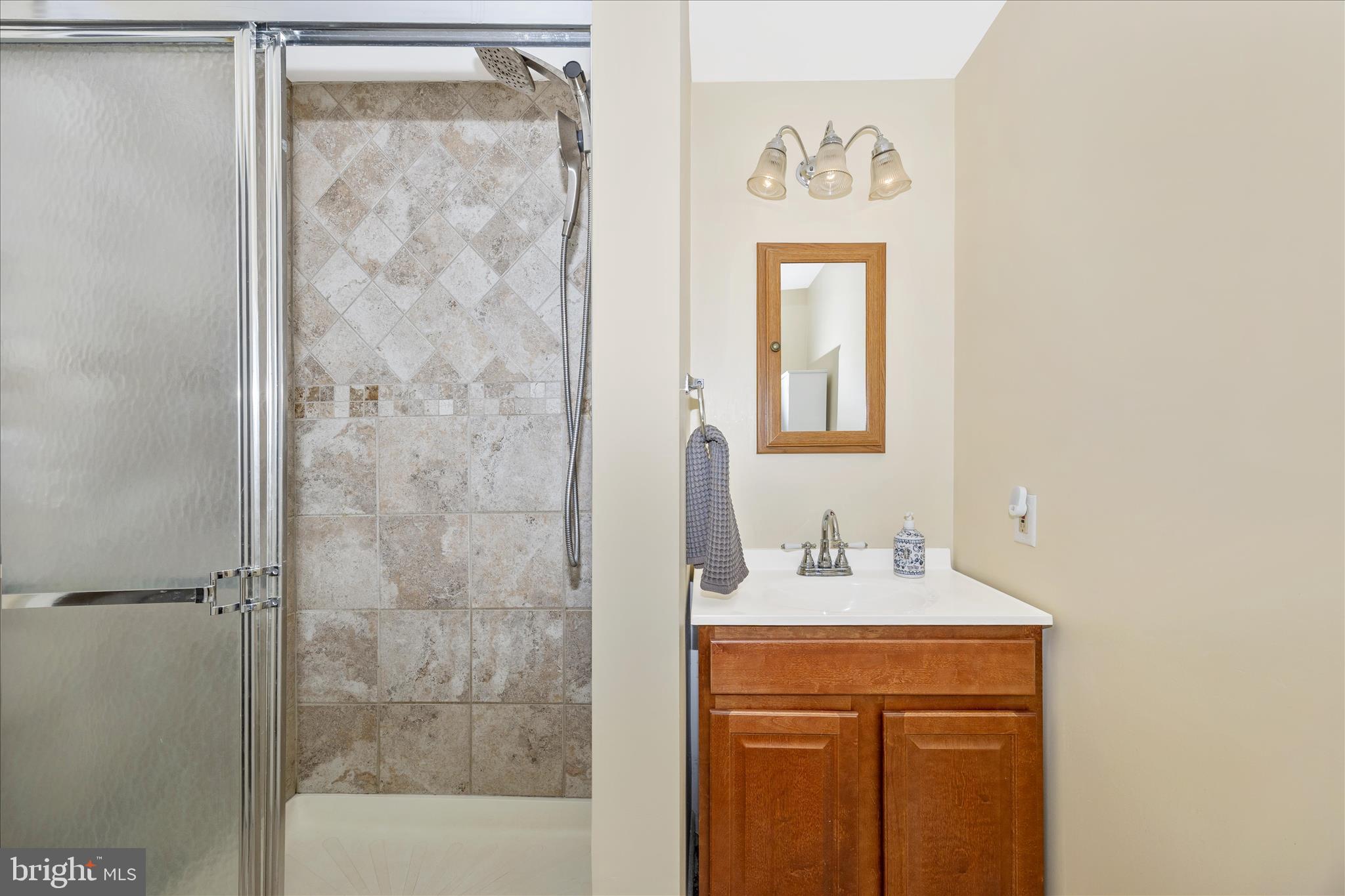 3340 Florence Road Woodbine, MD 21797 - Photo 43 of 61 a bathroom with a sink a mirror and a shower
