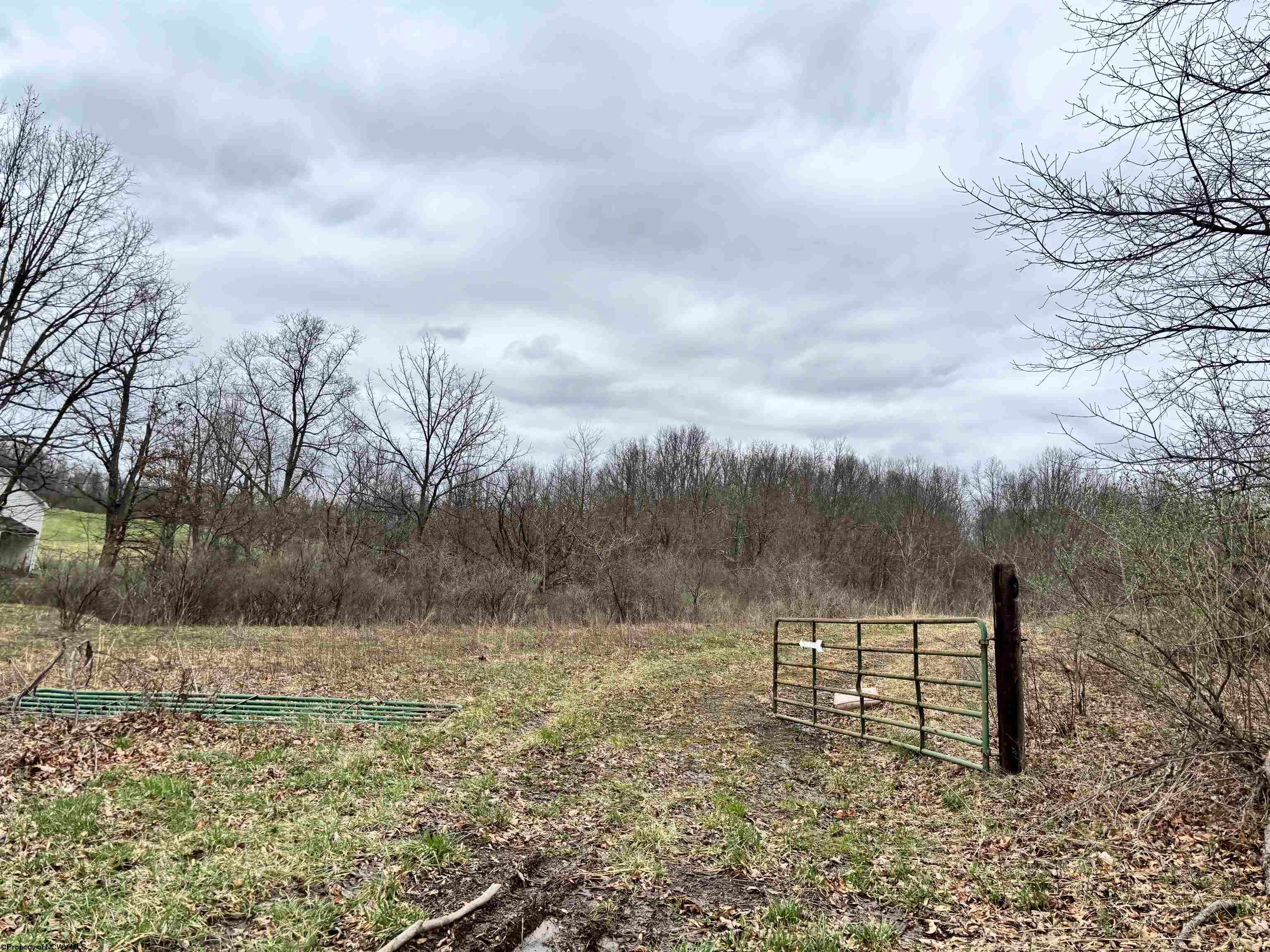 2965 Midway Road Belington, WV 26250 - Photo 2 of 10 Gallery Image 2