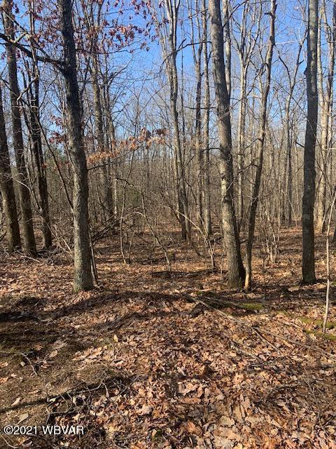 Boone Road, Unit 3 Cross Fork, PA 17729 - Photo 4 of 12 Gallery Image 4