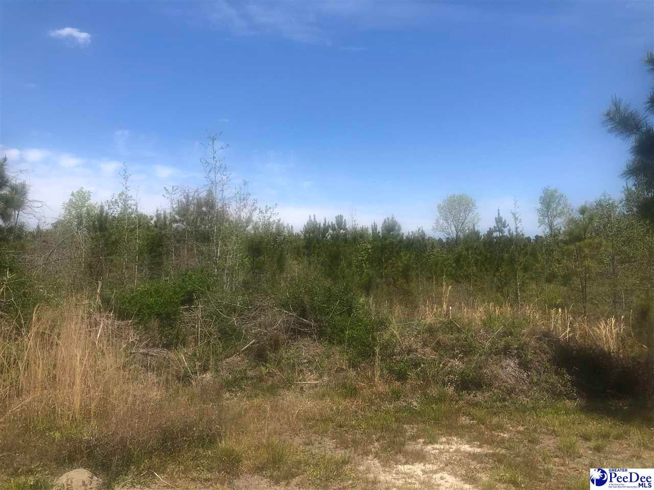 254 Scott Pond Road Hartsville, SC 29550 - Photo 1 of 1 Gallery Image 1