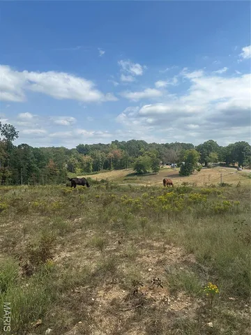 $177,500 | 2225 Highway 160, Doniphan, MO 63935