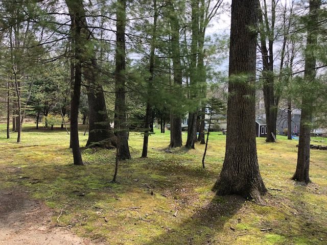 93 Kingston Road Exeter, NH 03833 - Photo 39 of 40