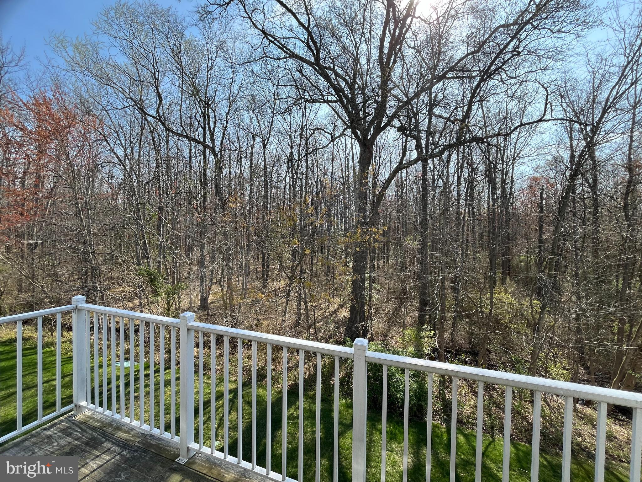1404 Squirrel Road Marlton, NJ 08053 - Photo 34 of 34 Wooded view from balcony