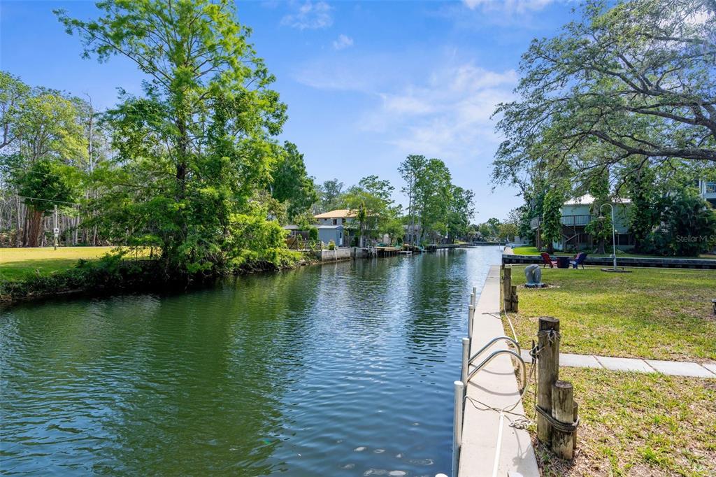 5421 Gay Street Weeki Wachee, FL 34607 - Photo 2 of 55 a view of a lake with houses