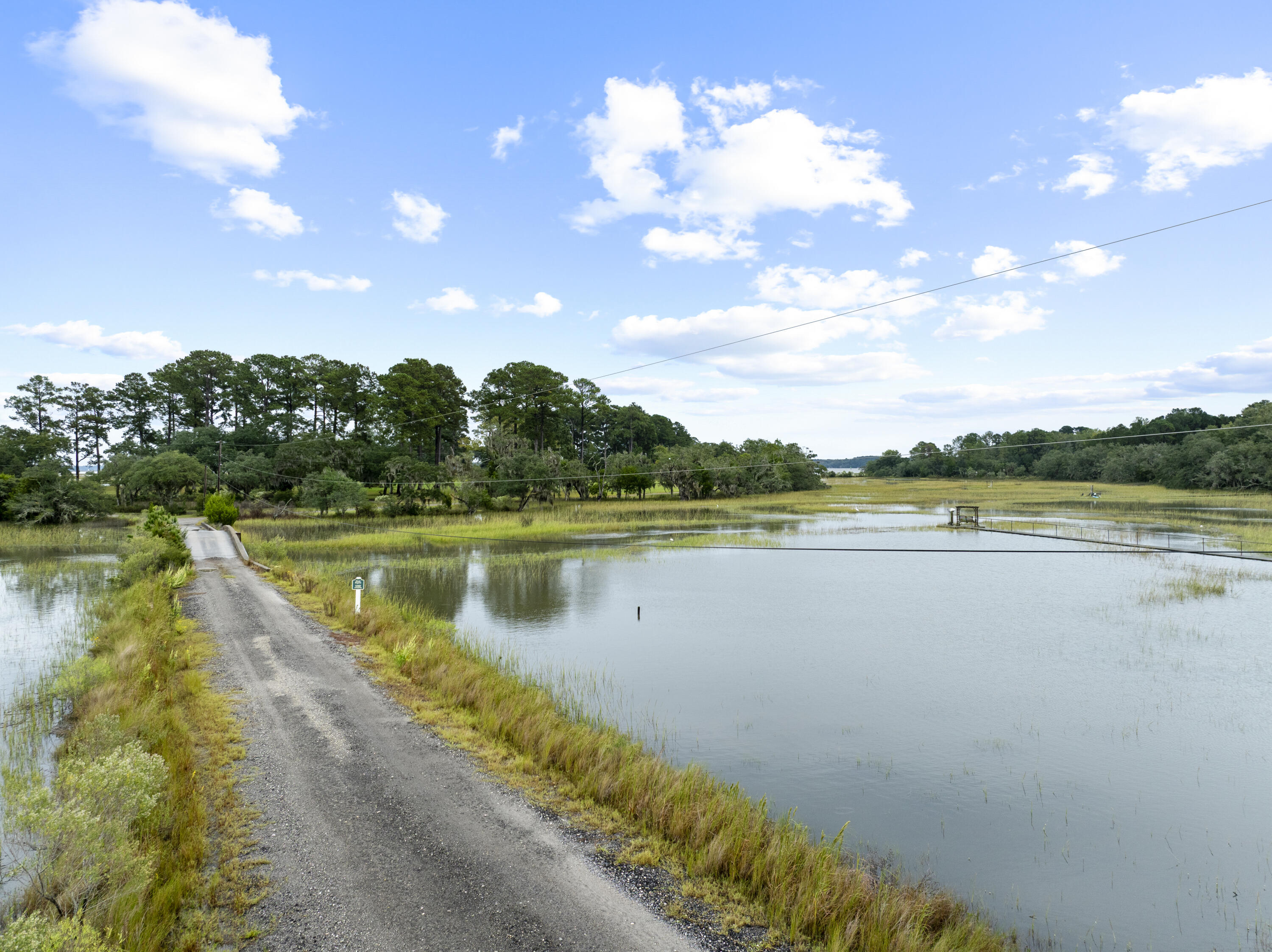 0 Long Island Road Meggett, SC 29449 - Photo 2 of 12 LongIslandRd.NicoleBurbagePhoto1