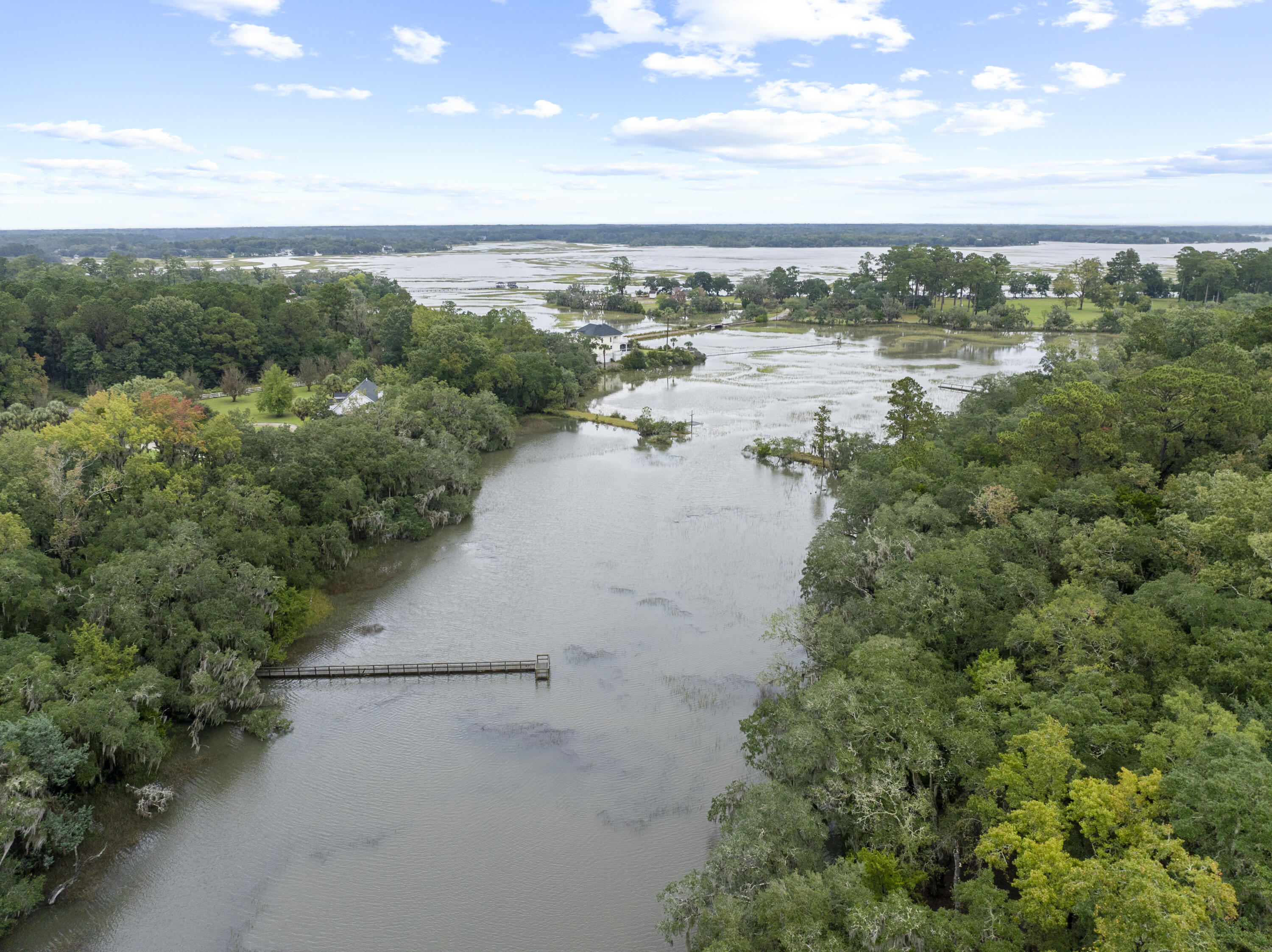 0 Long Island Road Meggett, SC 29449 - Photo 6 of 12 LongIslandRd.NicoleBurbagePhoto7