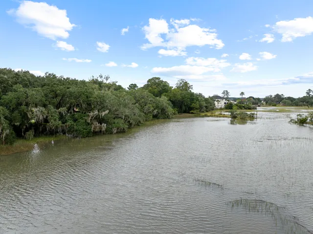 $50,000 | 0 Long Island Road, Meggett, SC 29449