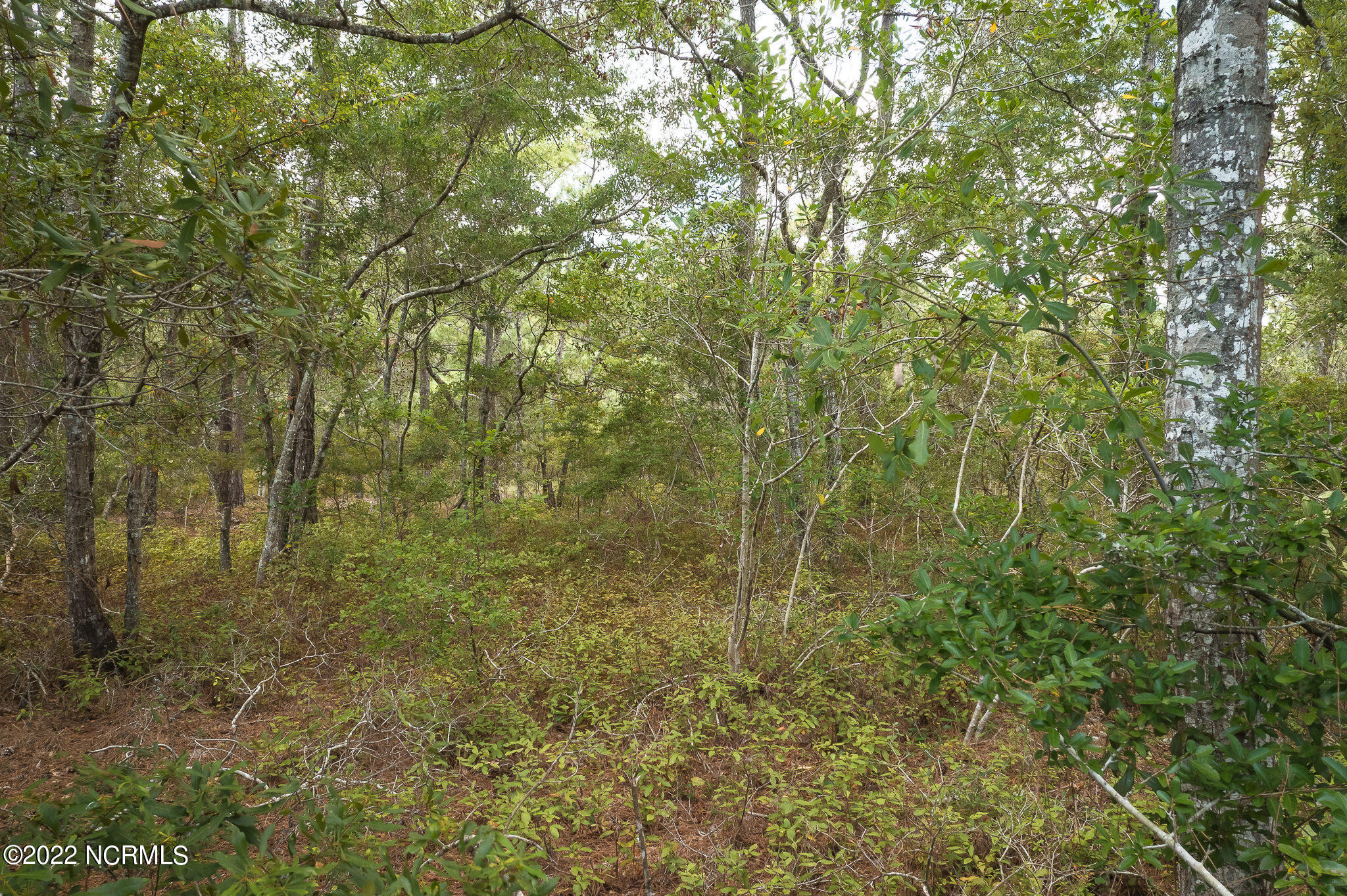 T-2 Boones Neck Road Southwest Supply, NC 28462 - Photo 12 of 13 boonesneck-15