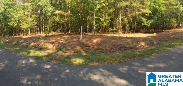 Jasmine Hill Road Pelham, AL 35124 - Photo 6 of 6