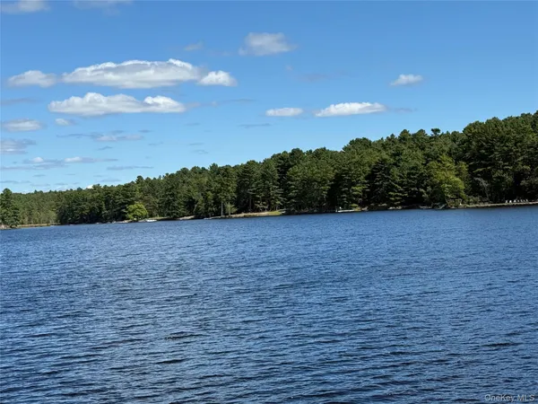 a view of a dry yard