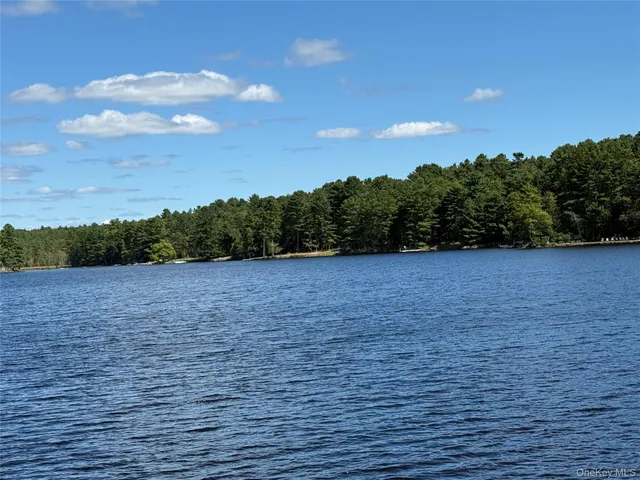 a view of a dry yard