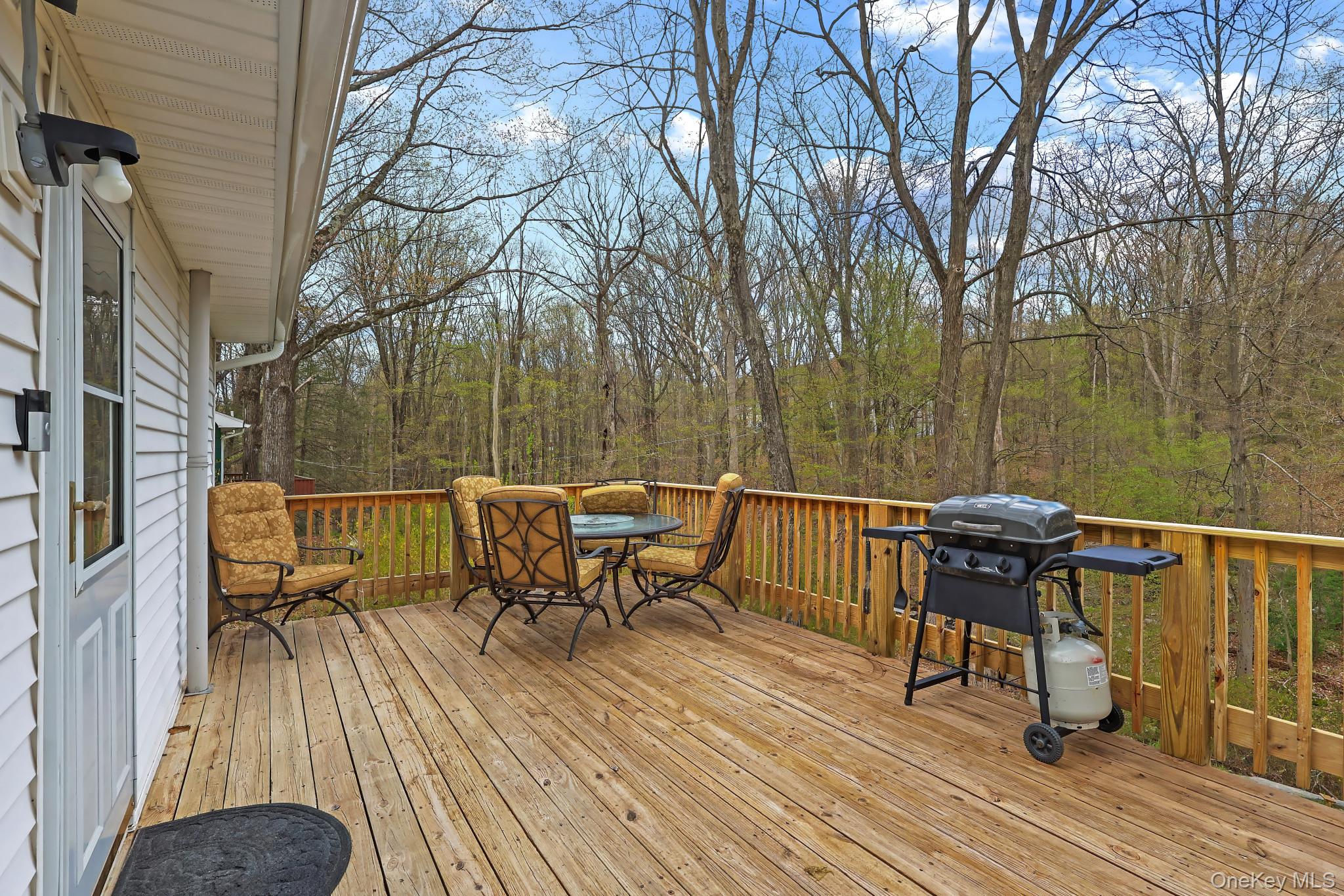 410 Nelson Road Monroe, NY 10950 - Photo 19 of 24