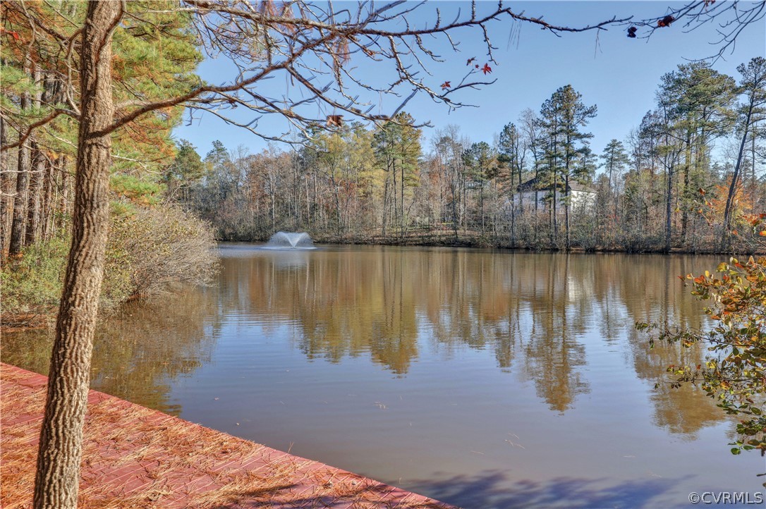14301 Sylvan Ridge Road Chesterfield, VA 23838 - Photo 2 of 41 Gallery Image 2