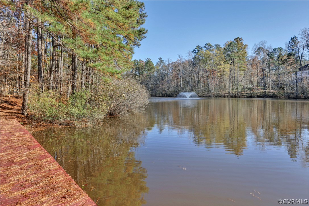 14301 Sylvan Ridge Road Chesterfield, VA 23838 - Photo 39 of 41 Gallery Image 39