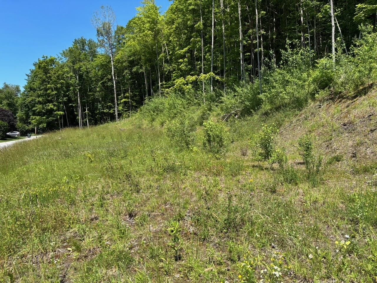 0 Maplewood Avenue, Unit 9 Barre, VT 05641 - Photo 2 of 10