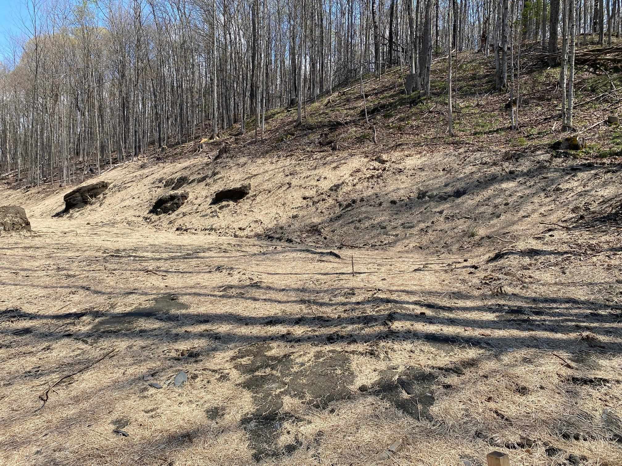 0 Maplewood Avenue, Unit 9 Barre, VT 05641 - Photo 5 of 10