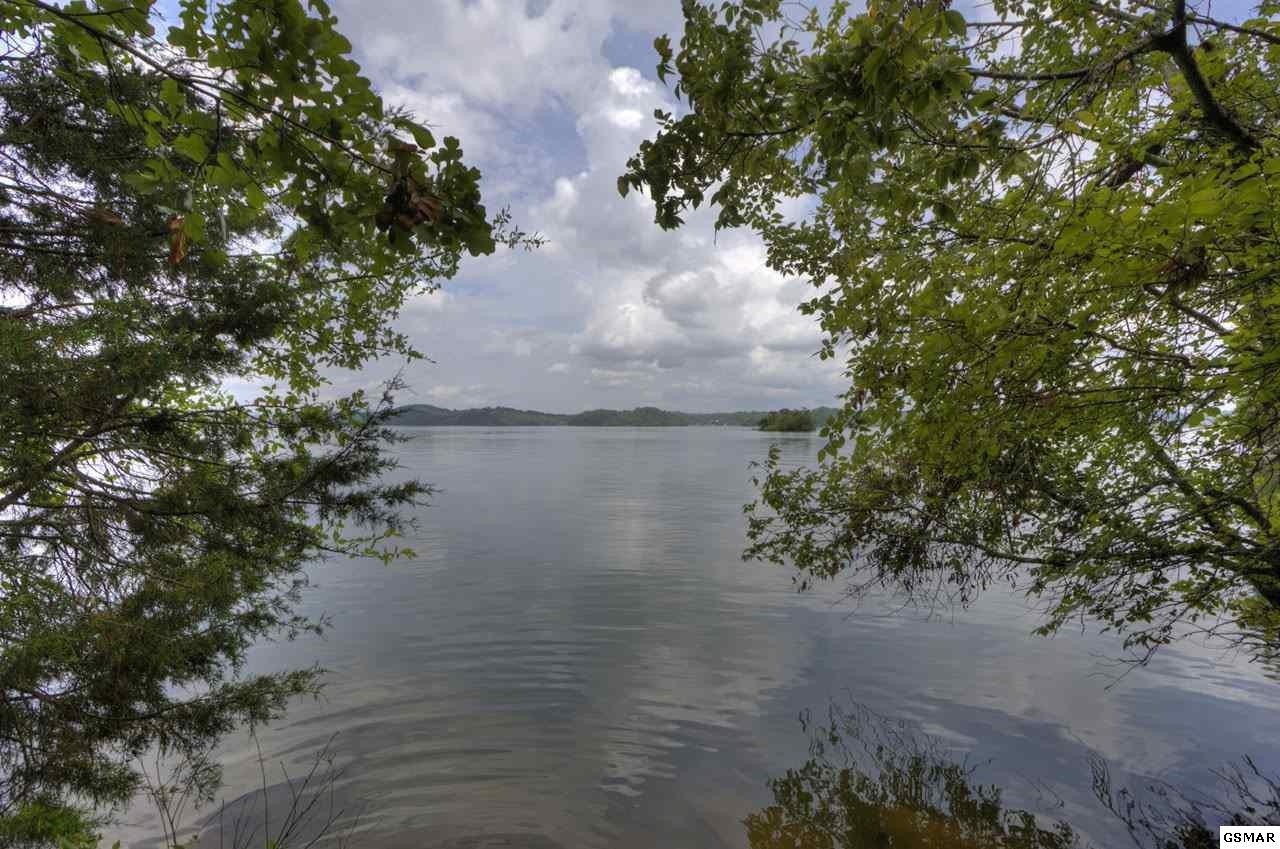 279 Alberts Cove Rutledge, TN 37861 - Photo 7 of 36 Gallery Image 7