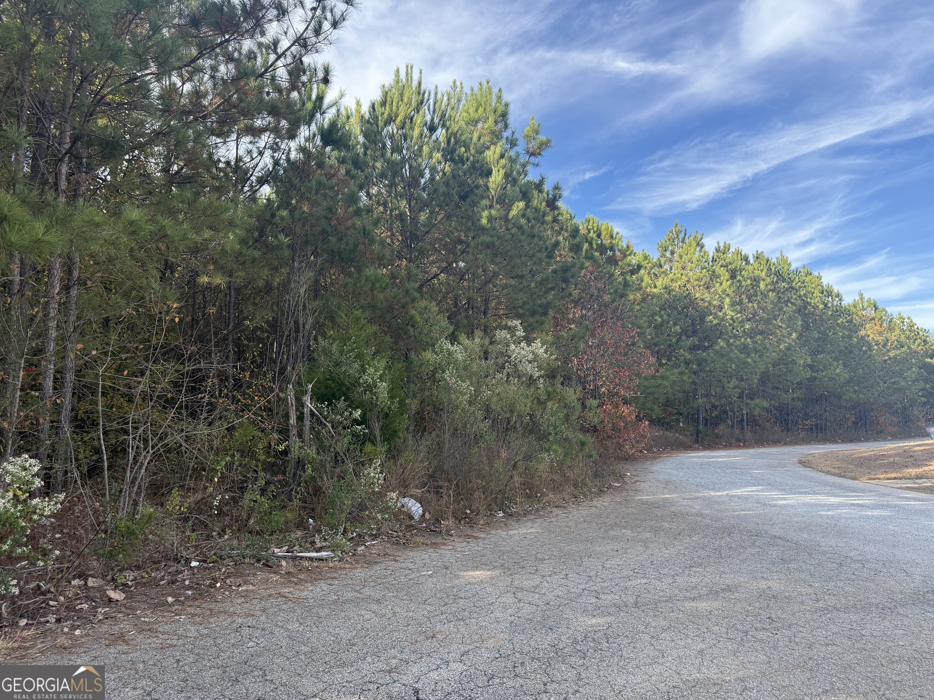 8632 Webb Road Riverdale, GA 30274 - Photo 6 of 7 a view of a forest with trees in the background