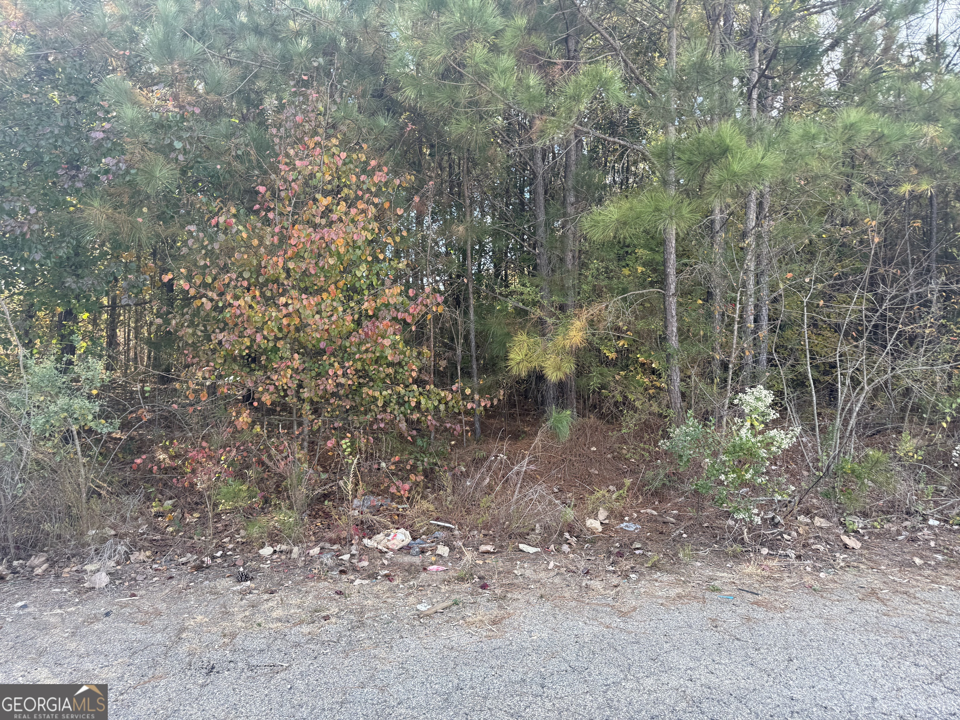 8632 Webb Road Riverdale, GA 30274 - Photo 7 of 7 a view of a forest with trees in the background