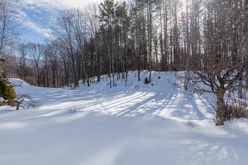 255 Hemlock Ridge Road Manchester, VT 05255 - Photo 38 of 47