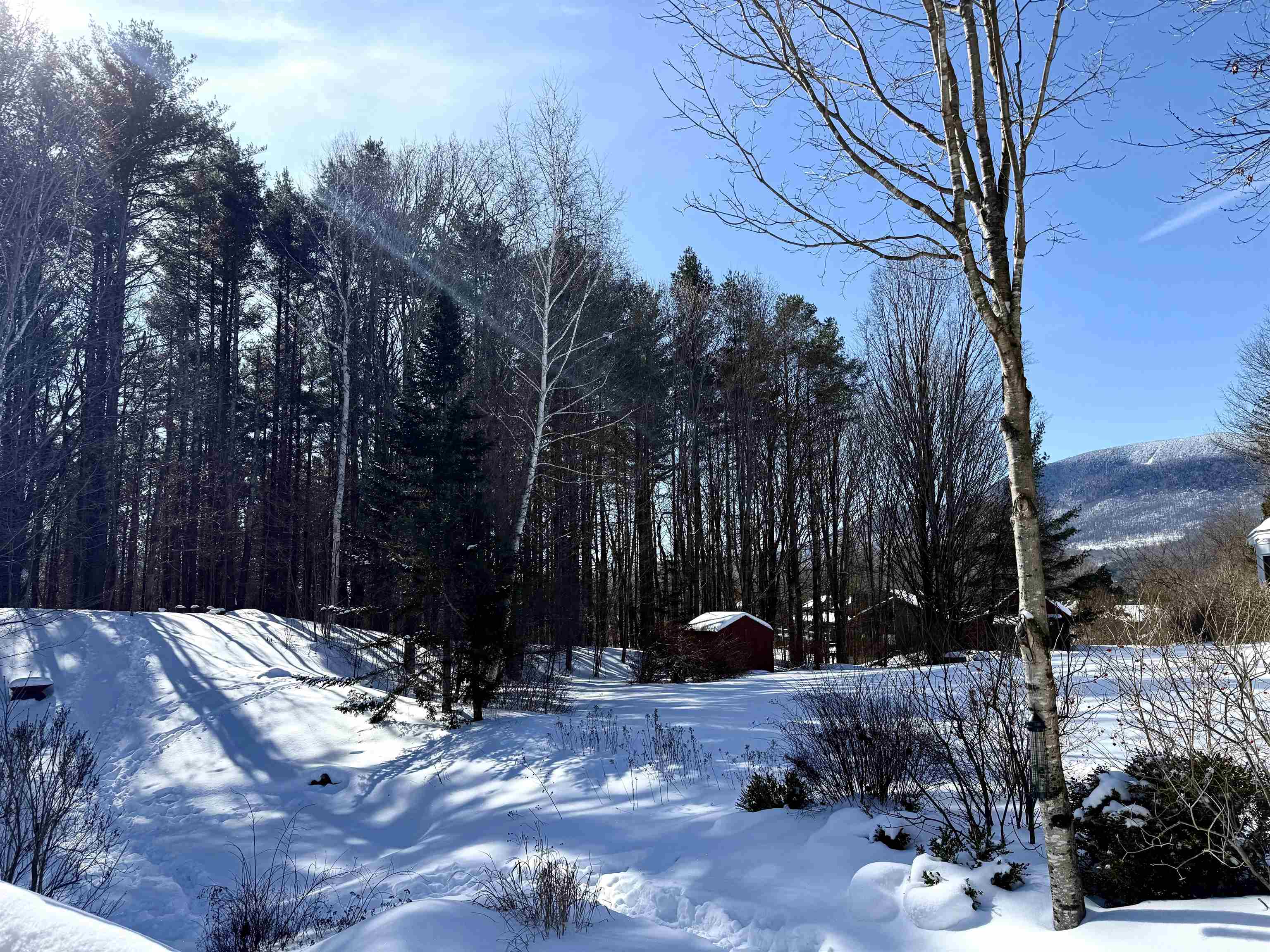 255 Hemlock Ridge Road Manchester, VT 05255 - Photo 46 of 47